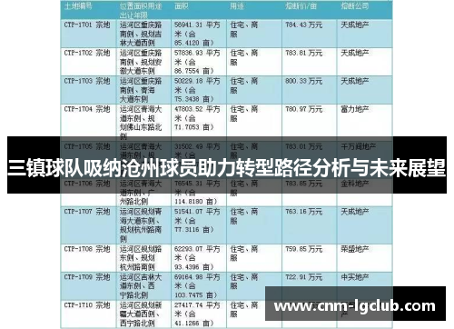 三镇球队吸纳沧州球员助力转型路径分析与未来展望
