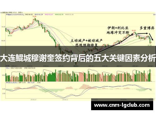 大连鲲城穆谢奎签约背后的五大关键因素分析
