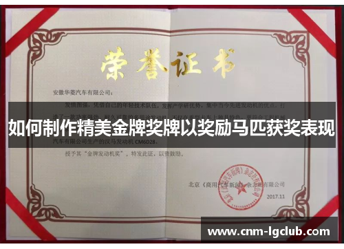 如何制作精美金牌奖牌以奖励马匹获奖表现