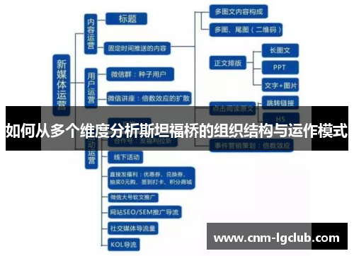 如何从多个维度分析斯坦福桥的组织结构与运作模式