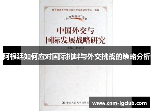 阿根廷如何应对国际挑衅与外交挑战的策略分析