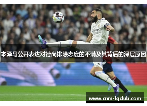 本泽马公开表达对德尚排除态度的不满及其背后的深层原因