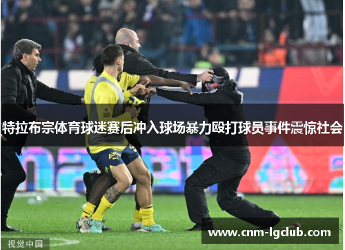 特拉布宗体育球迷赛后冲入球场暴力殴打球员事件震惊社会 特拉布宗体育球迷赛后冲入球场暴力殴打球员事件震惊社会