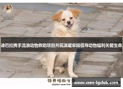 迪巴拉携手流浪动物救助项目共筑温暖家园倡导动物福利关爱生命